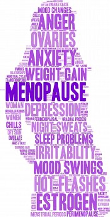 How can CranioSacral Therapy help with the Menopause?